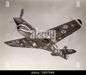 Le combattant des 00th Curtiss, un P-40 Warhawk, a été orné de l'insigne des 28 forces aériennes qui opèrent les Curtiss Fighters en WW2. Novembre 1944. Banque D'Images