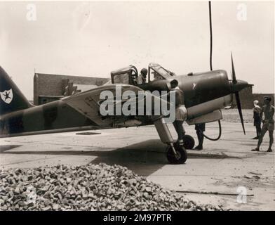 Ex-RAF armé chasse P56 Provost Mk52, XF682, du Sultan de l'Armée de l'Air d'Oman. Banque D'Images