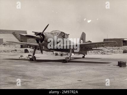 Ex-RAF armé chasse P56 Provost Mk52 du Sultan de la Force aérienne d'Oman. Banque D'Images