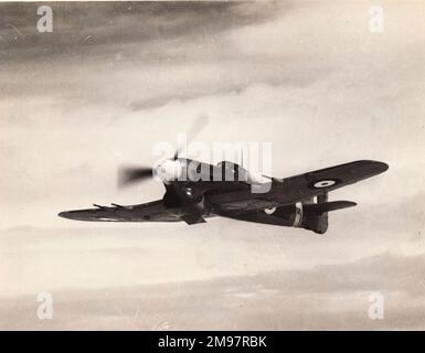 Hawker Typhoon IB, R7700. Banque D'Images