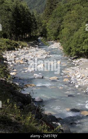 Torrent. Miage. Les Contamines-Montjoie. Haute-Savoie. Auvergne-Rhône-Alpes. France. Europe. Banque D'Images