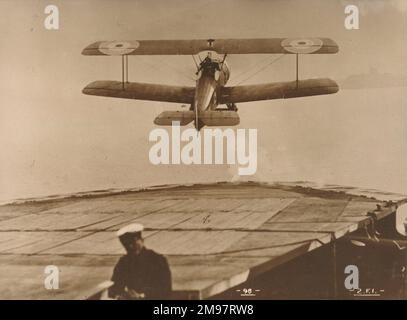 Sopwith 2F1 Camel. Banque D'Images