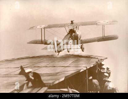 Sopwith 2F1 Camel. Banque D'Images