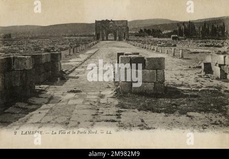 Le chemin menant à la porte nord des ruines à Lambaesis, en Algérie. Lambaesis était une ville militaire romaine. Banque D'Images