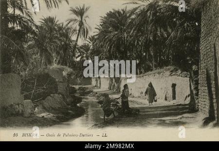 À Biskra, en Algérie, un homme descend une rue bordée de palmiers dattiers de l'oasis, tandis que deux enfants bavardes près du cours d'eau en bord de route. Banque D'Images