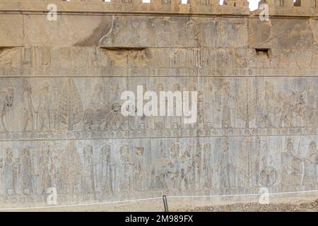 Bas reliefs au palais d'Apadana dans l'ancienne Persepolis, Iran Banque D'Images