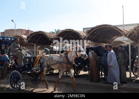 EDFU, ÉGYPTE - 28 décembre 2022. Scène surpeuplée de gens de la région à cheval avec la calèche comme l'atracttion touristique près du temple Banque D'Images