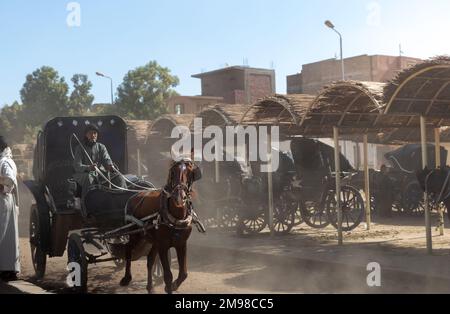 EDFU, ÉGYPTE - 28 décembre 2022. Un jeune homme fume et fait du cheval brun dans un pays pauvre en l'utilisant comme moyen de transport des mauvais traitements et des mauvais traitements infligés aux animaux Banque D'Images