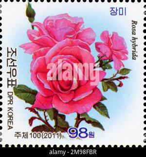 Timbre-poste nord-coréen de 2011 représentant des roses roses Rosa hybrida, commémorant le 99ème anniversaire de Kim il Sung. Philatélie de la RPDC. Banque D'Images