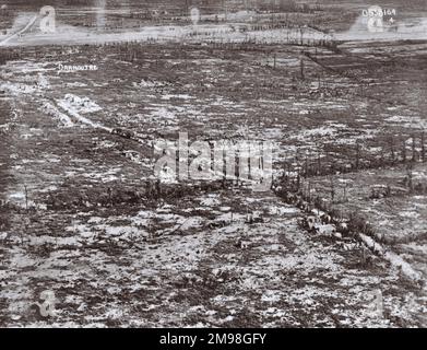 Vue aérienne, ruines de Dranoutre, Flandre Occidentale, Belgique, le 21 août 1918, avec souches d'arbres visibles. Banque D'Images