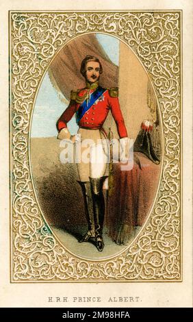 Prince Albert de Saxe-Coburg et Gotha (1819-1861), époux et consort de la reine Victoria. Banque D'Images