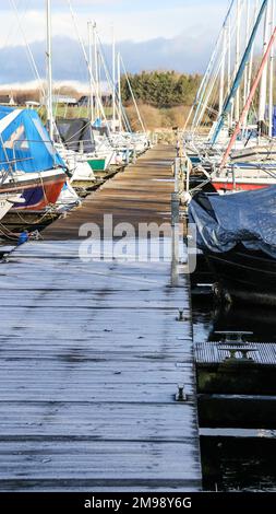 Lough Neagh, Kinnego, près de Lurgan, Comté d'Armagh, Irlande du Nord, ROYAUME-UNI. 17 janvier 2023. Temps au Royaume-Uni - après de fortes gelées et de la glace pendant la nuit, un jour amèrement froid malgré le soleil dans le vent ouest-nord-ouest (WNW). Par soleil, le gel est resté toute la journée - gel sur une jetée en bois à la marina.Credit: David Hunter/Alamy Live News. Banque D'Images