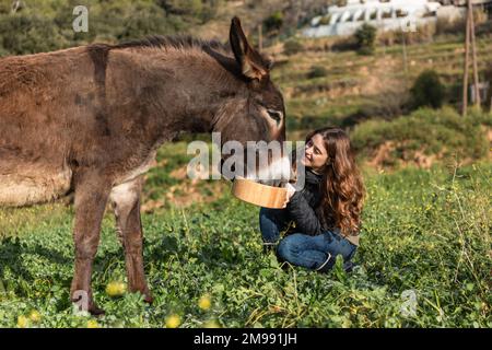Femme souriant et tenant le seau tout en nourrissant un âne à l'extérieur dans la nature. Banque D'Images