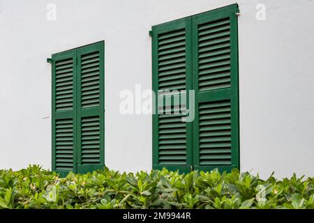 Fenêtres avec des volets verts et des plantes sur un mur blanc de maison à Majorque, Espagne Banque D'Images