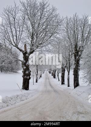 Route de campagne labourée dans un paysage suédois d'hiver avec de la neige sur les arbres et des dérives de neige à côté de la route et un ciel gris. Banque D'Images
