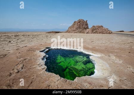 Plaine de sel avec l'étang salé et les roches de sel, Danakil Dépression en Ethiopie, Afrique. Banque D'Images