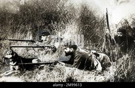 Soldats français avec chien alsacien, 1915 juillet, première Guerre mondiale. Banque D'Images