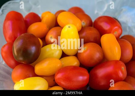 Petites tomates cerises de couleur arc-en-ciel. Banque D'Images