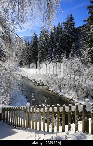 Torrent. Miage. Les Contamines-Montjoie. Haute-Savoie. Auvergne-Rhône-Alpes. France. Europe. Banque D'Images