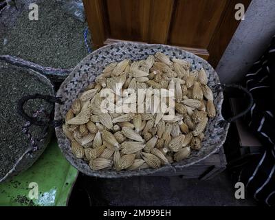 Cure-dents Berber - les têtes séchées de fleurs de fenouil (Ammi visnaga) , utilisées au Maroc pour le nettoyage des dents en fes medina Banque D'Images