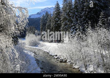 Torrent. Miage. Les Contamines-Montjoie. Haute-Savoie. Auvergne-Rhône-Alpes. France. Europe. Banque D'Images