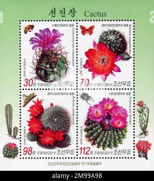 2011 jeu de timbres de la Corée du Nord. Flore - Cactus Banque D'Images