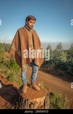 Homme chilien regardant la forêt chilienne portant une chamanto marron et regardant le rassemblement de la WRC du Chili depuis le sommet d'une souche d'arbre. Soleil bas, ciel bleu Banque D'Images