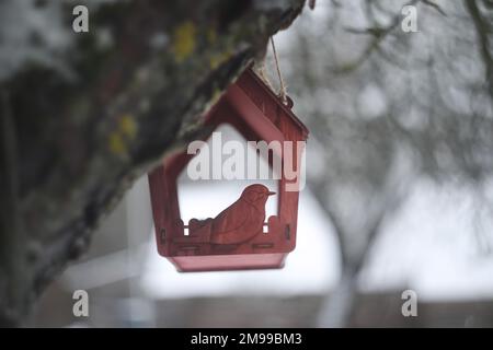 Gros plan d'un mangeoire à oiseaux sur un arbre sous la neige dans la forêt. Banque D'Images