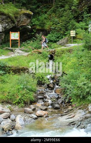 Randonneurs. Torrent Miage. Les Contamines-Montjoie. Haute-Savoie. Auvergne-Rhône-Alpes. France. Europe. Banque D'Images