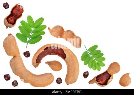 Fruits avec des graines de tamarin isolé sur fond blanc avec l'exemplaire de l'espace pour votre texte. Vue d'en haut. Mise à plat Banque D'Images