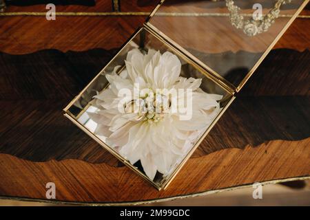 Des anneaux de mariage de créateurs posés sur une fleur et un cercueil avant la cérémonie. Deux anneaux de mariage. Banque D'Images