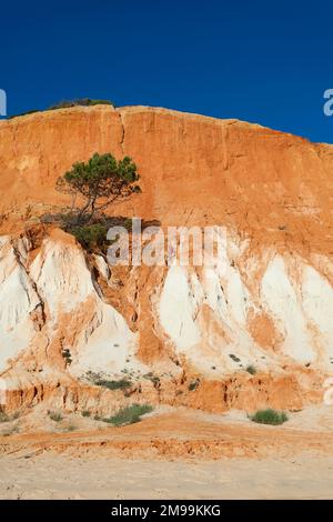 Badlands dans la plage de Falesia, Albufeira, Algarve, Portugal Banque D'Images