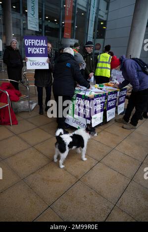 Hackney, Londres. Piquet de la bibliothèque centrale Hackney par des membres de l'Unison. Les employés des bibliothèques sont confrontés à des suppressions d'emplois. Banque D'Images