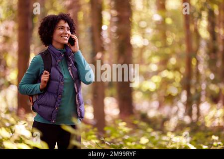 Femme en randonnée dans Forest parlant sur téléphone portable Banque D'Images
