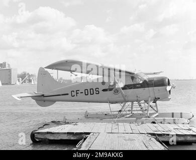 De Havilland Canada DHC-2 Beaver Float-plane CF-ODS (msn 71), du Service aérien provincial de l'Ontario (OPAS), amarré sur le front de mer de Toronto. Banque D'Images