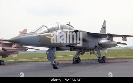 Royal Air Force - SEPECAT Jaguar T.2 XX146 'J', de l'escadron n°16(R), lors d'une exposition aérienne de la RAF Marham en 1993. (SEPECAT - Société européenne de production de l'avion Ecole de combat et d'Appui Tactique). Banque D'Images