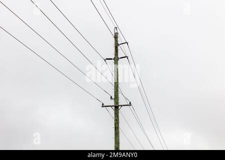 Photographie d'un poteau électrique en bois vert avec une multitude de fils de transmission et de connecteurs Banque D'Images
