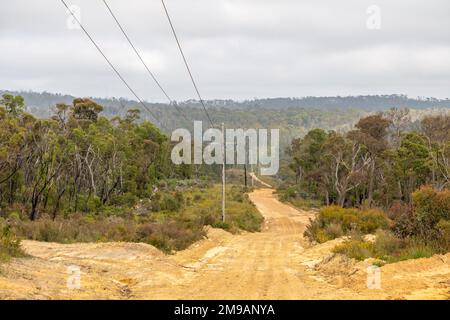 Photographie de poteaux de ligne électrique en bois vert le long d'une longue piste de terre traversant une grande forêt dans la région de l'Australie Banque D'Images