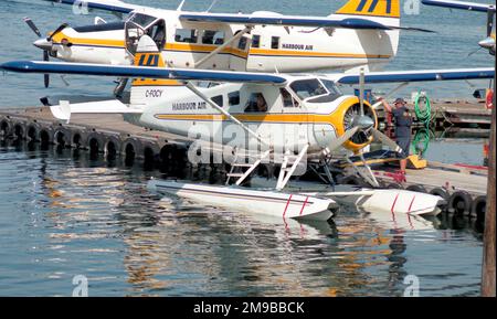 De Havilland Canada DHC-2 Beaver Mk.1 C-FOCY / 204 (msn 79), de Harbour Air, amarré dans le port de Victoria, en Colombie-Britannique, avec Harbour Air Turbo-Otter '304. Banque D'Images