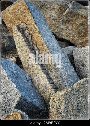 2 janvier 2023. Rockport, ma. Vue sur le parc régional de Halibut point. © Marilyn Humphries, 2023 Banque D'Images