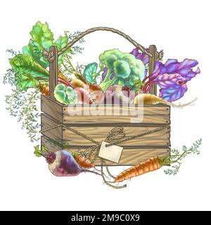 Illustration en couleur des légumes dans une boîte. Photo de haute qualité Banque D'Images