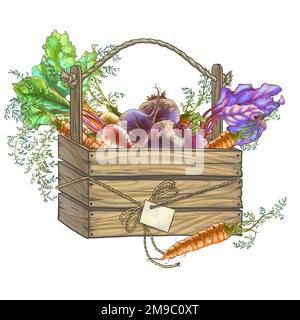 Illustration en couleur des légumes dans une boîte. Photo de haute qualité Banque D'Images