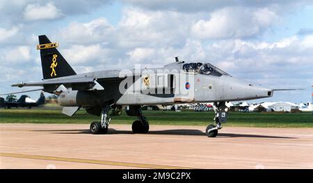 Royal Air Force - SEPECAT Jaguar GR.1A XX752 - 'l' (msn S.49), de l'escadron no 16, à la RAF Cottesmore pour le Royal International Air Tattoo en juillet 2000. Banque D'Images