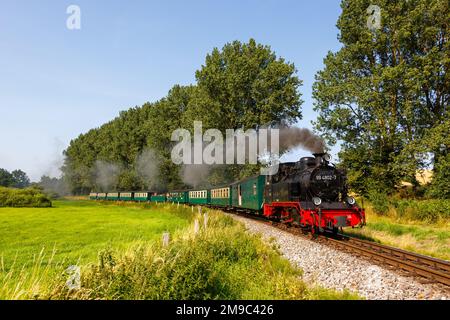 Train à vapeur Rasender Roland train à Serams, en Allemagne Banque D'Images