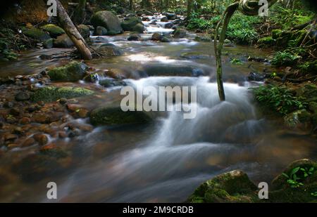 Parc Sungai Eiria, Singkawang, West Kalimantan, Indonésie Banque D'Images