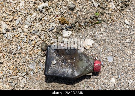 Pollution plastique - une bouteille de pétrole avec des mollusques est lavée sur une plage à Okinawa, au Japon Banque D'Images