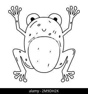 Grenouille amusante en forme de croque dessinées à la main. Animal mignon. Activité de page de coloriage. Isolé sur fond blanc Illustration de Vecteur