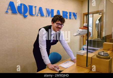 Bad Doberan, Allemagne. 17th janvier 2023. Michel Polak Carlota, de São Paulo (Brésil), futur homme d'affaires pour le tourisme et les loisirs, à la réception. Cet homme de 32 ans travaille actuellement dans le cadre du projet « main dans la main pour les talents internationaux » en tant que réceptionniste d'hôtel à l'hôtel quatre étoiles Aquamarin. Lors d'un événement de presse le 19.01.2023 à Heiligendamm, le projet sera présenté par l'Agence fédérale de l'emploi, l'Agence Rostock pour l'emploi et la Chambre d'industrie et de commerce IHK de Rostock. Credit: Bernd Wüstneck/dpa/Alay Live News Banque D'Images