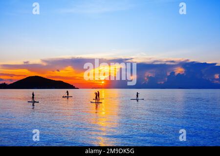 Personnes silhouettes stand SUP paddle board, mer coucher de soleil plage, active jeune homme femme surf paddle board, océan lever du soleil, surf, sports nautiques Banque D'Images