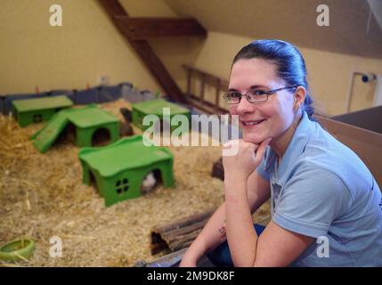 Berlin, Allemagne. 14th janvier 2023. Melanie Dufosse est située à côté de l'enceinte pour les cobayes qui sont placés. La fourrure moelleuse et les yeux de béady mignons: les cochons d'inde sont des animaux de compagnie populaires, mais ils peuvent devenir coûteux ou ne peuvent plus être gardés pour d'autres raisons. Une femme berlinoise s'en occupe. Pour le moment, elle a plus à faire que d'habitude (à dpa 'Herzens(meer)schweine: Berlin Woman se soucie des animaux dans le besoin') Credit: Annette Riedl/dpa/Alay Live News Banque D'Images